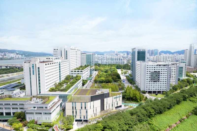 서울 대형병원 '쏠림' 심화… 非수도권 환자 2년새 11.8% 증가