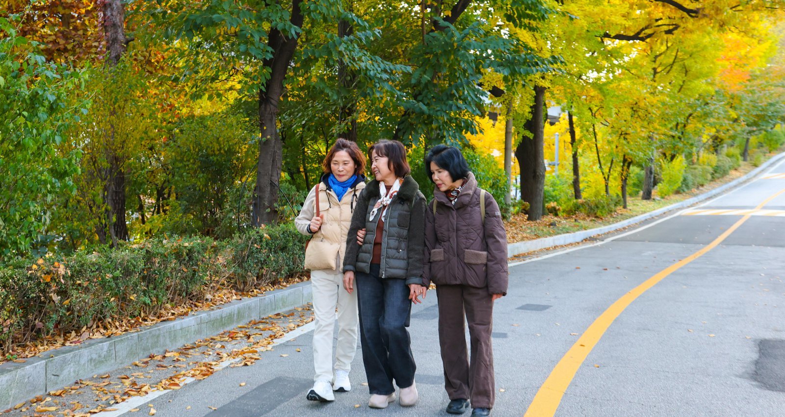“노인 우울증-치매도 당뇨처럼 관리… 가장 나쁜 건 칩거”