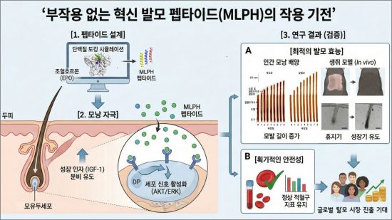 "부작용 없이 발모 유도"…DGIST, 남녀 모두 적용 탈모 치료 물질 개발[과학을읽다]