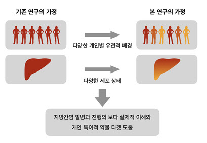 “간질환 맞춤치료 가능성 제시…유전자 지도에서 해답 찾다”