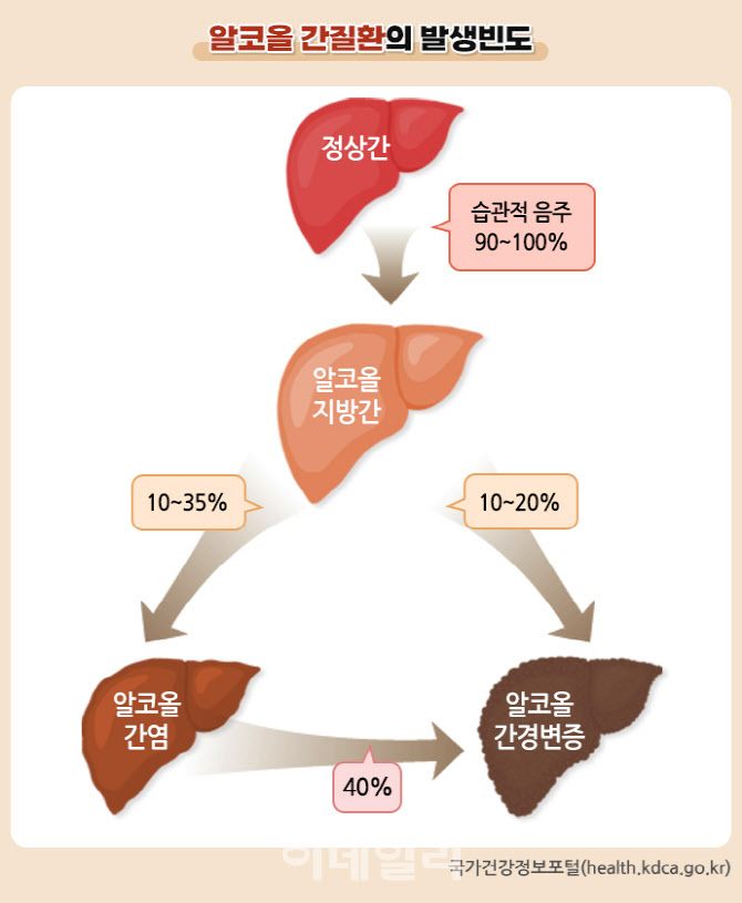 [안치영의 安건강]연말 잦은 술자리…간은 말없이 병든다