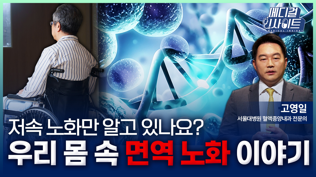 [메디컬 인사이트 111회] 혈액암과 관련깊은 면역 노화